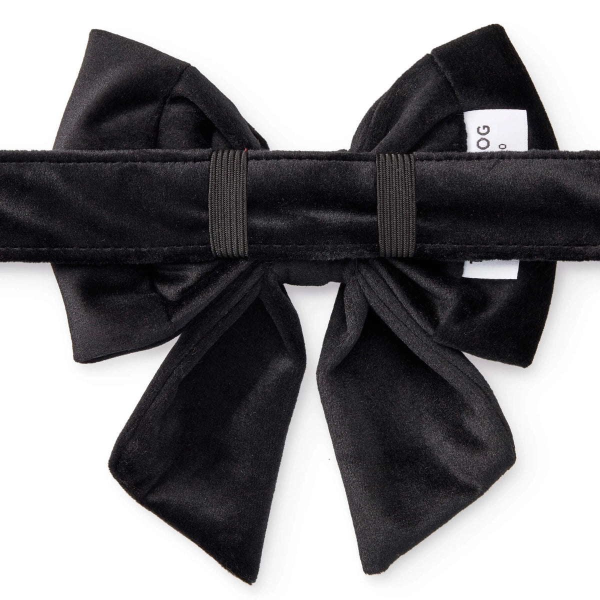 Black Velvet Dog Bow - Giftware - The Foggy Dog