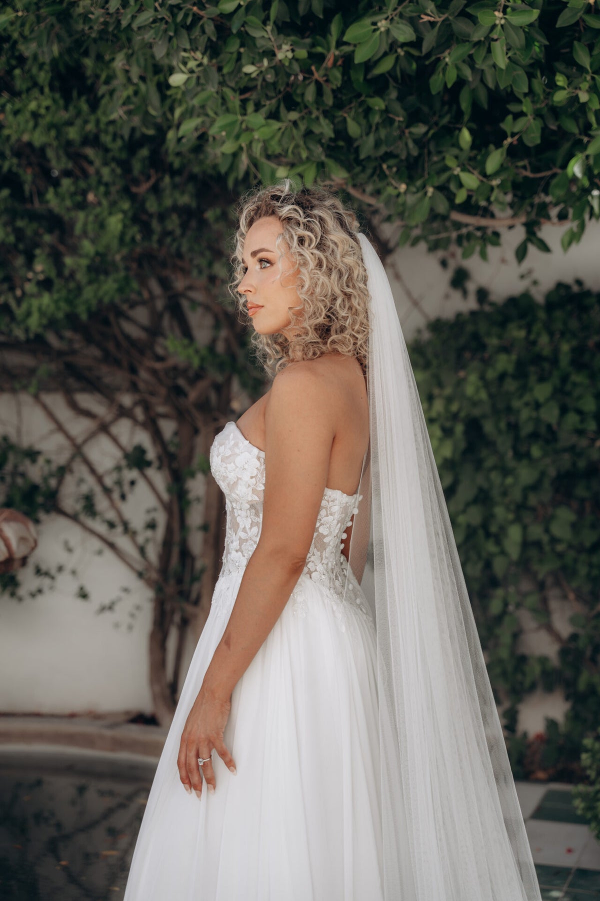 Daphne - Wedding Gown - Stella York