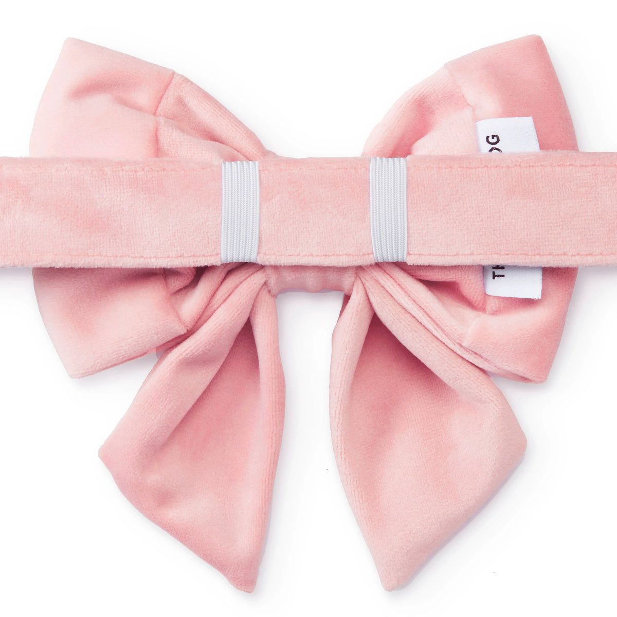 Blush Pink Velvet Dog Bow - Giftware - The Foggy Dog
