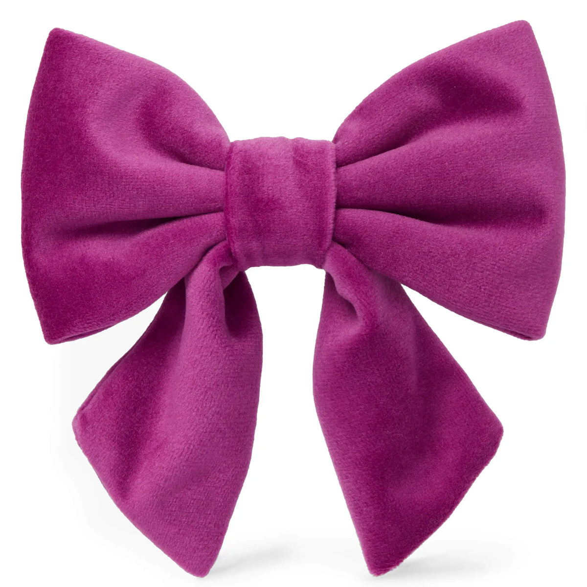 Plum Velvet Dog Bow