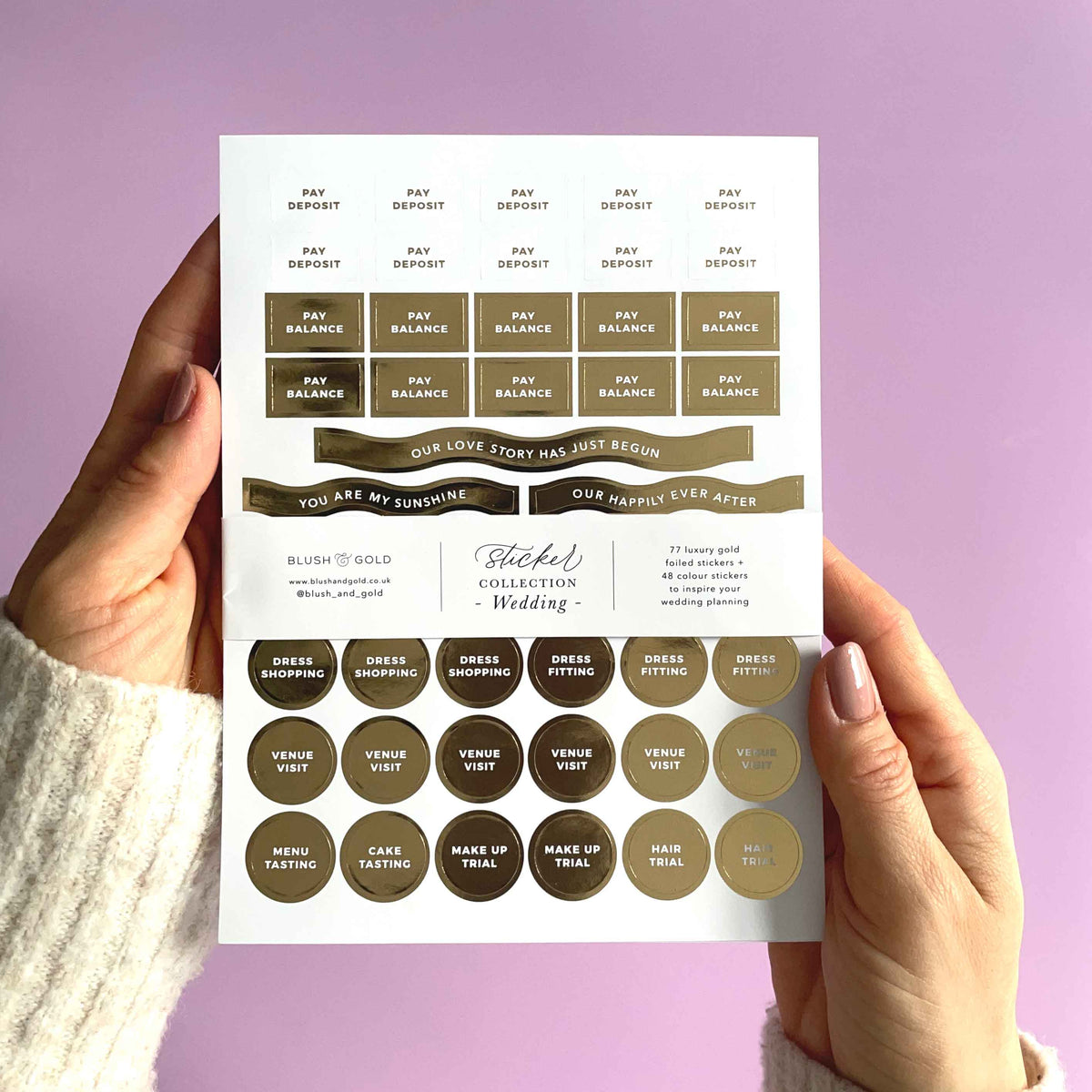 Wedding Planner Sticker Pack (3 Sheets) - Giftware - Blush and Gold