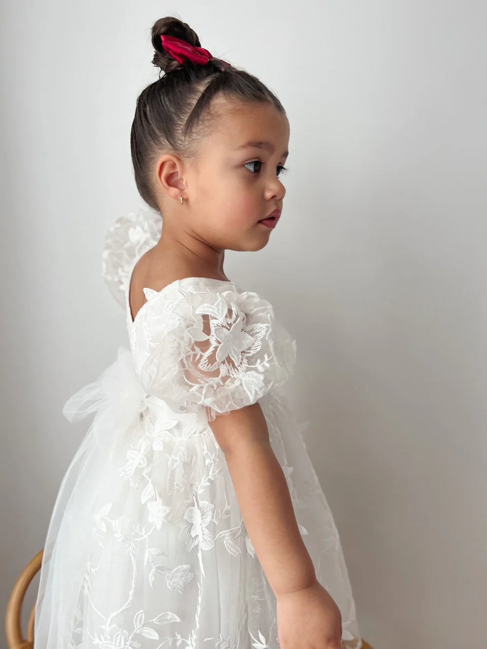 Vienna Girls Embroidered Dress - Flower Girl Dress - A Little Lacey