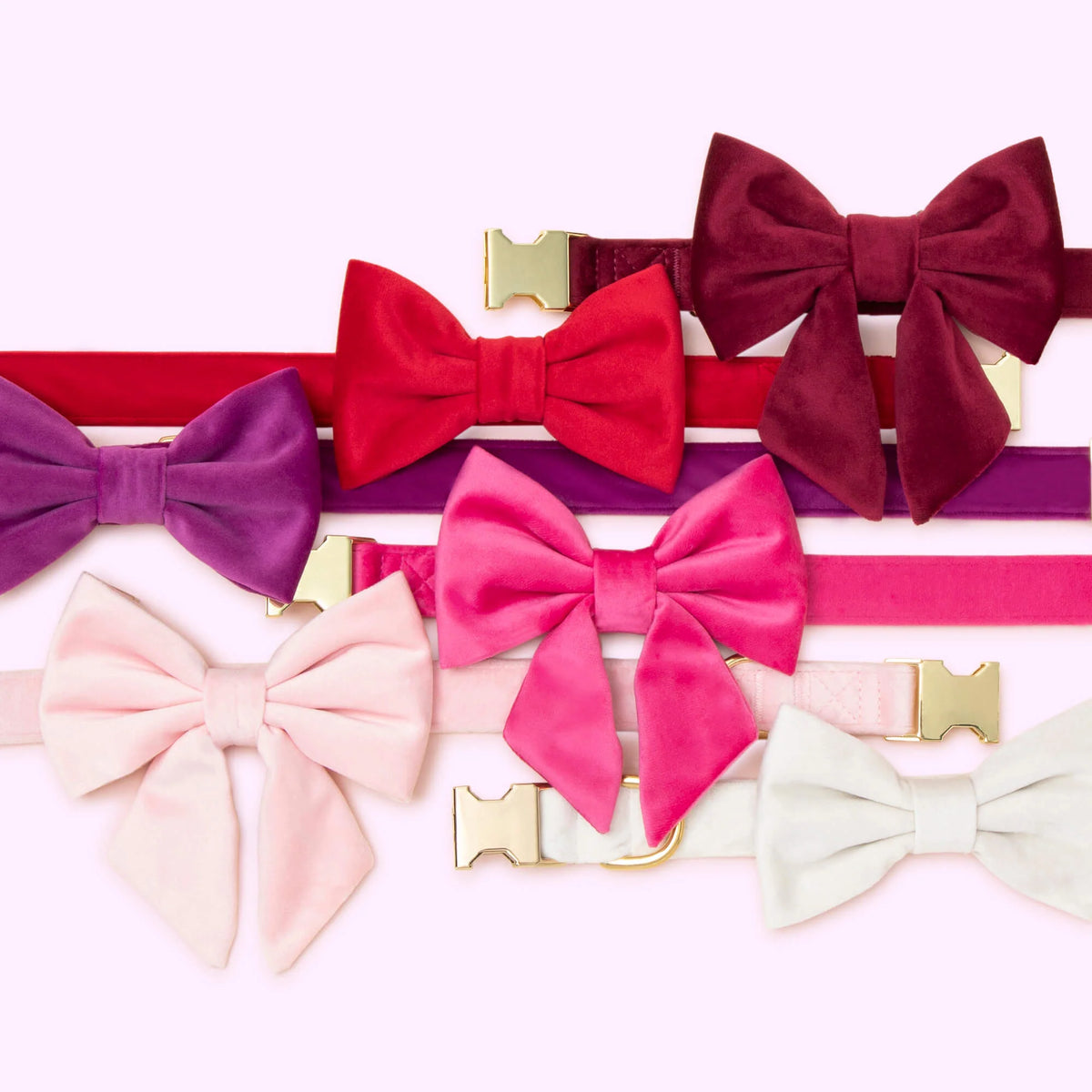Blush Pink Velvet Dog Bow - Giftware - The Foggy Dog