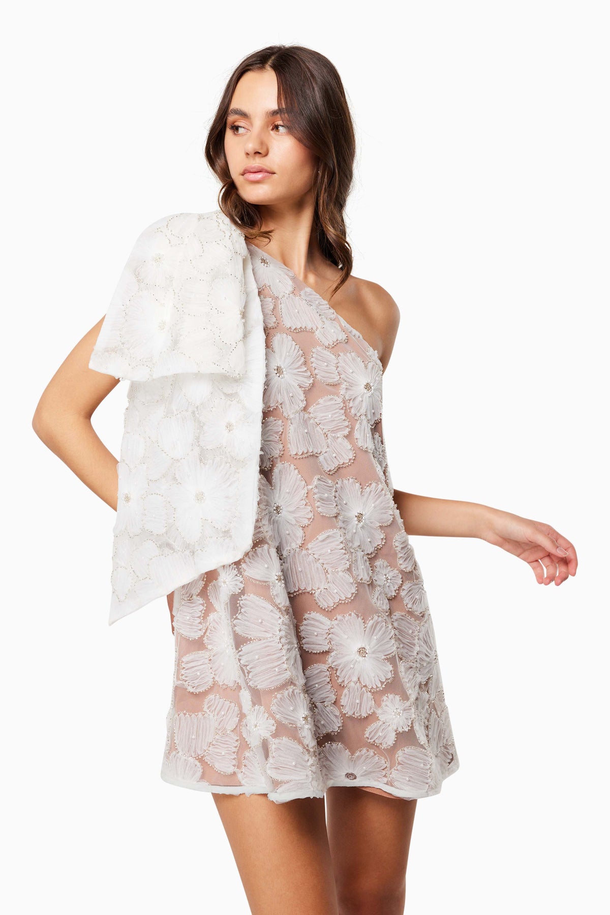 Briar Dress - Dress - Elliatt