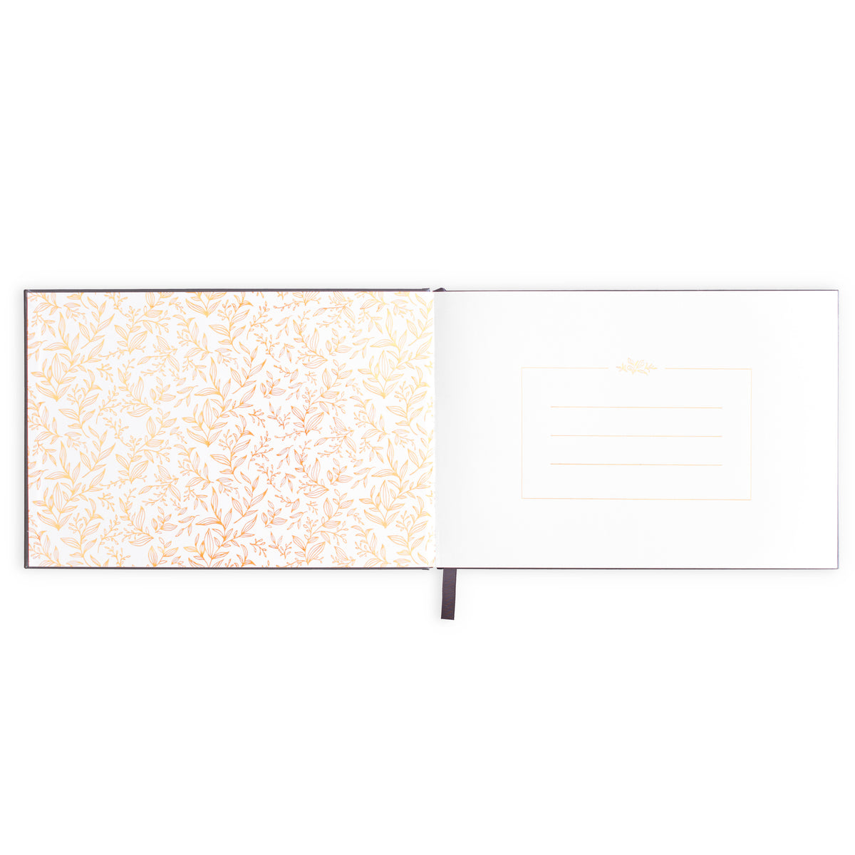 Be Our Guest Book Boxed - Giftware - Fox and Fallow